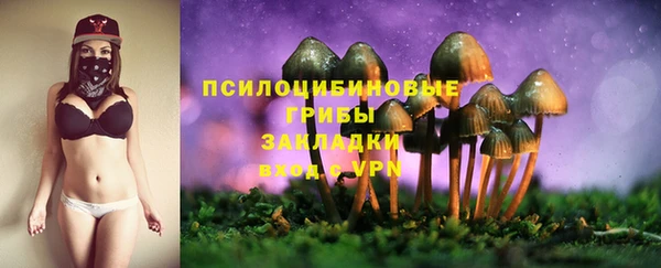 круглые Козельск